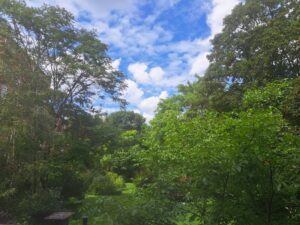 Blick von der Loggia