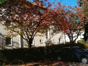 Köslinerstr17, VE 29