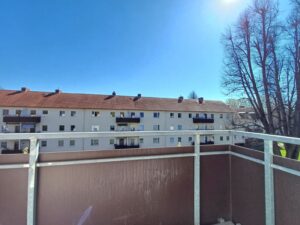 20250408_114122_resized_2